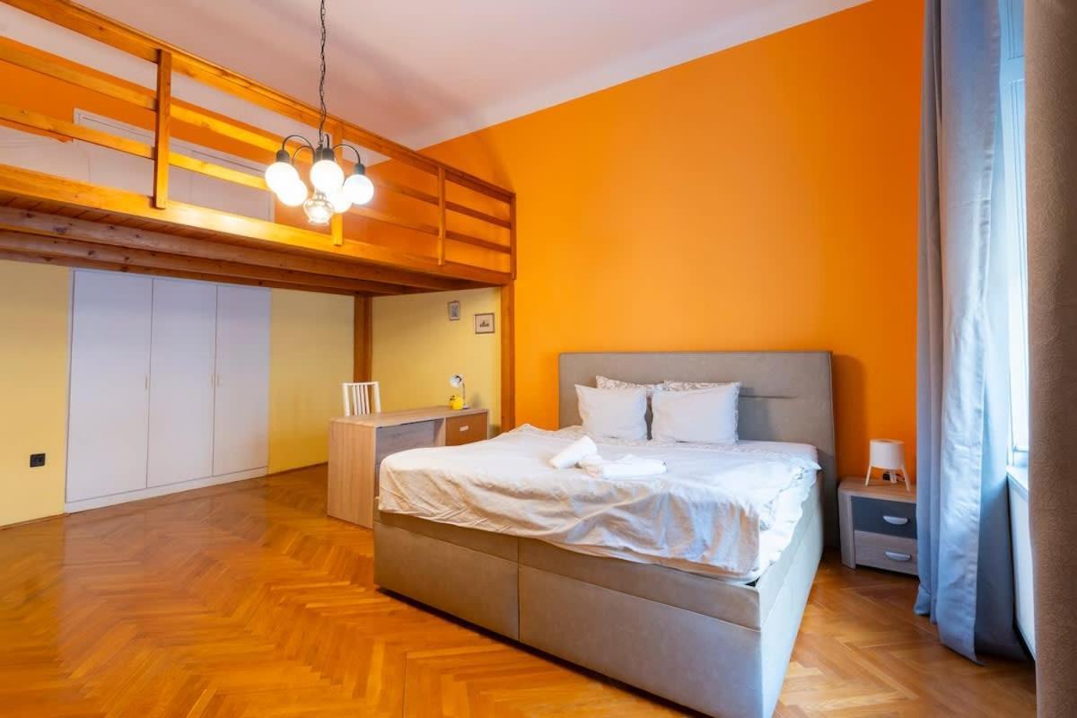 Cozy Bajcsy 31